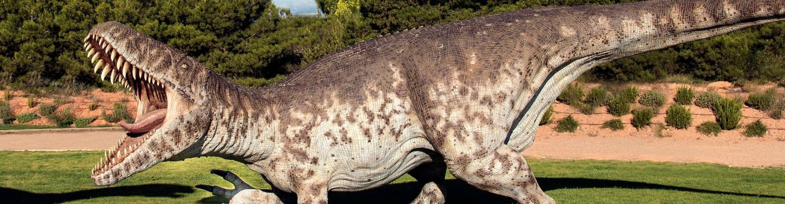 Imagen de destacada, en el parque Dinópolis. (Créditos: Dinópolis)